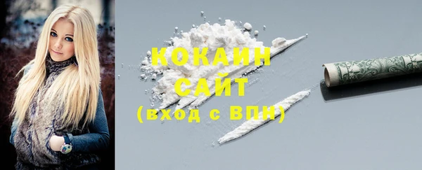 Альфа ПВП Няндома