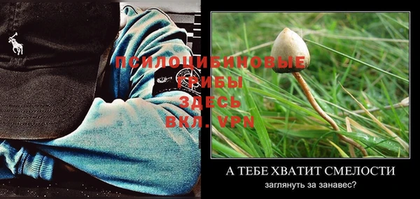 метадон Новозыбков