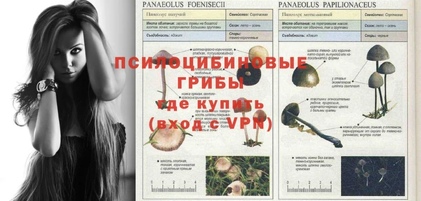 гашишное масло Новодвинск