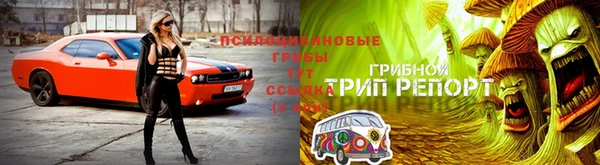 метадон Новозыбков