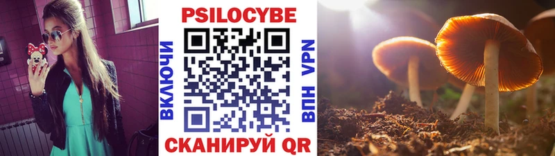 как найти закладки  Кирс  Псилоцибиновые грибы прущие грибы 